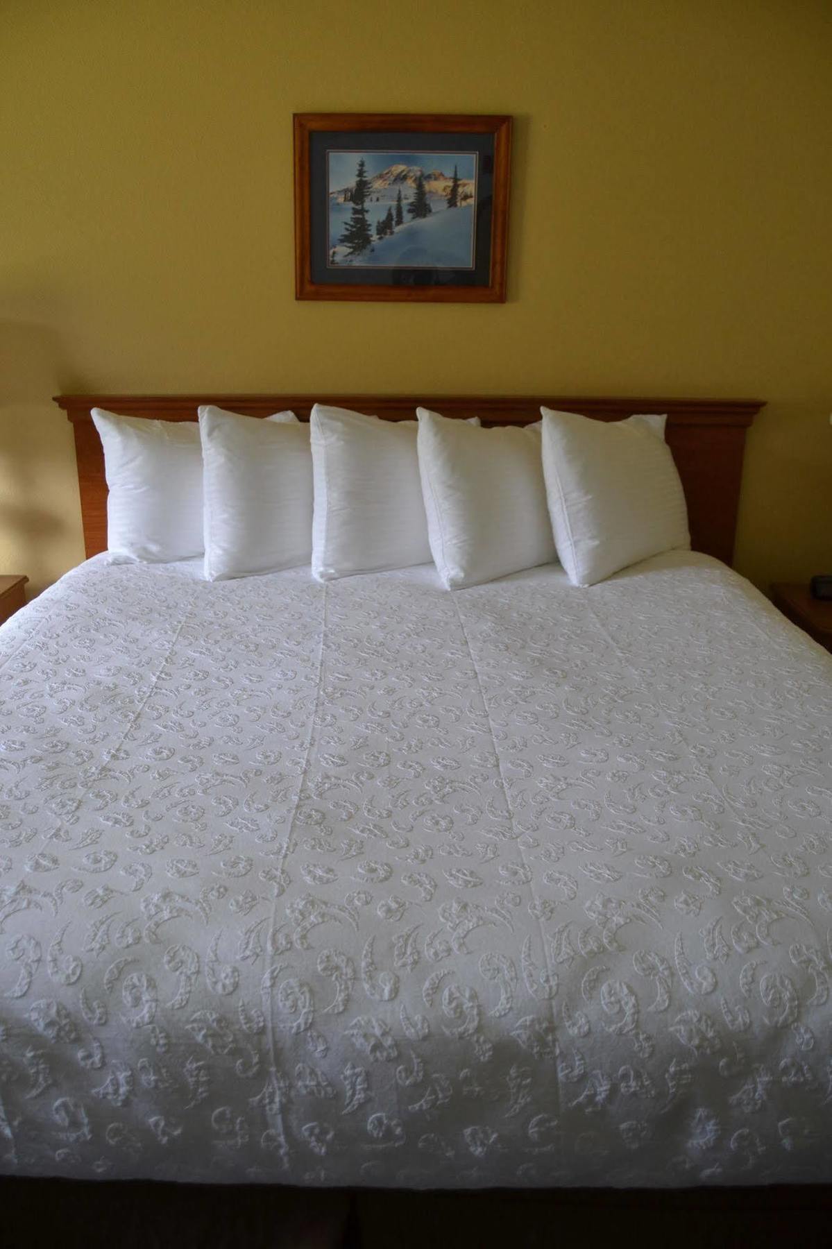 Cowlitz River Lodge باكوود المظهر الخارجي الصورة