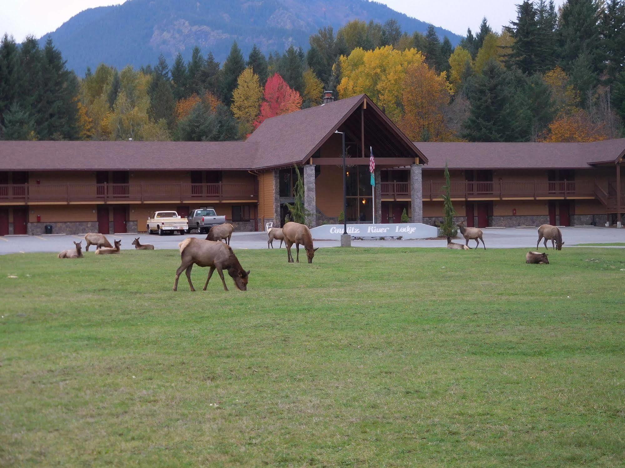 Cowlitz River Lodge باكوود المظهر الخارجي الصورة