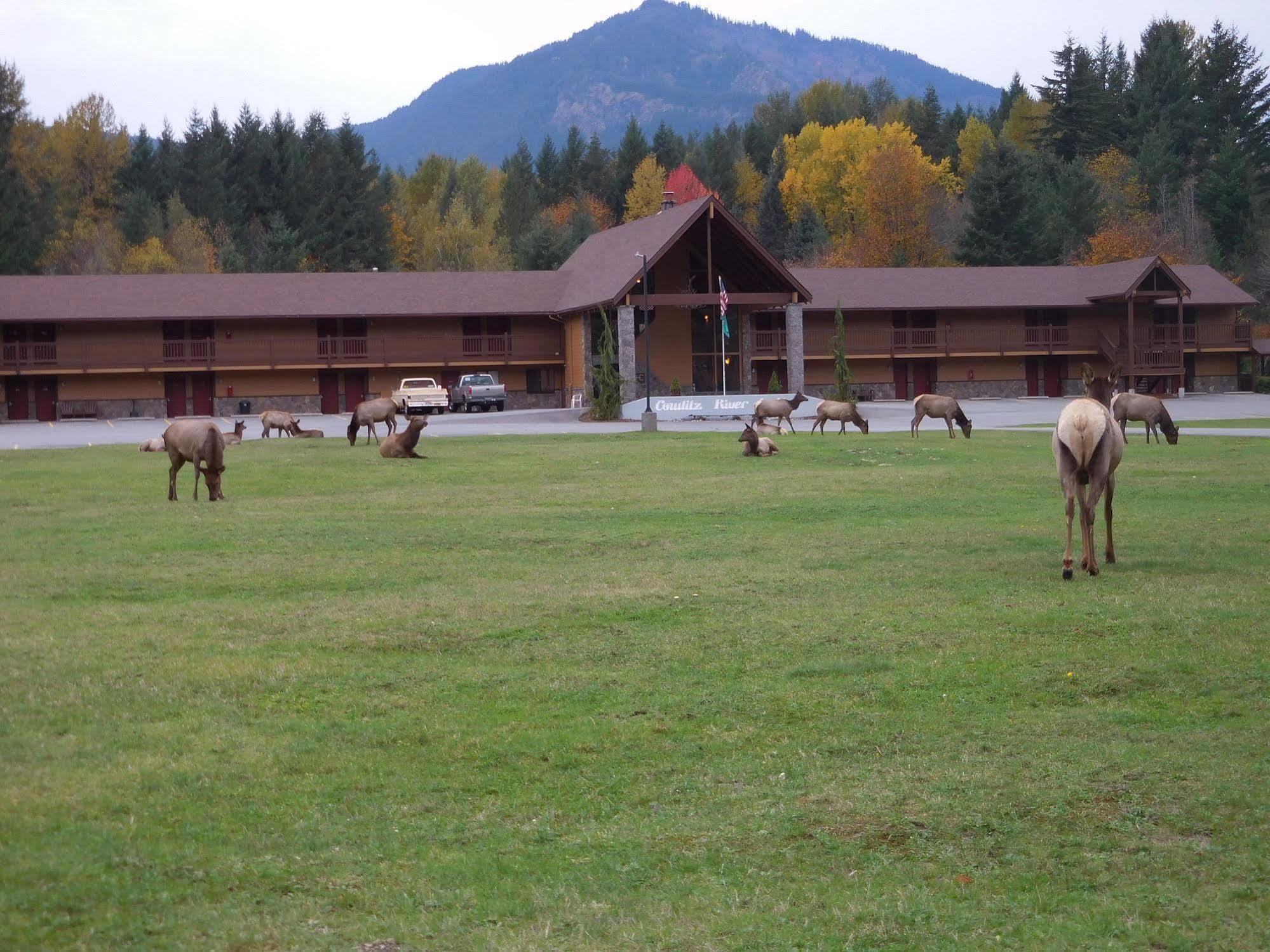 Cowlitz River Lodge باكوود المظهر الخارجي الصورة