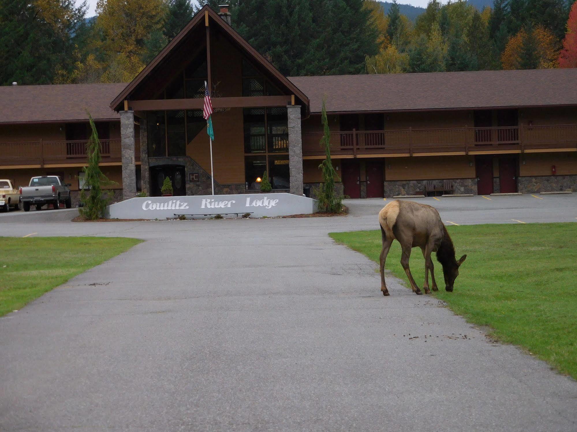 Cowlitz River Lodge باكوود المظهر الخارجي الصورة